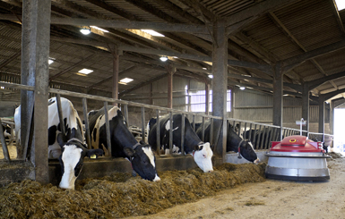 Ventilation pour Industrie Agroalimentaire