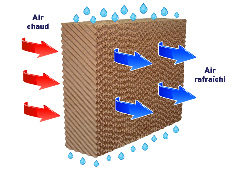 Rafraîchisseurs à évaporation : c’est quoi et comment ça fonctionne ?
