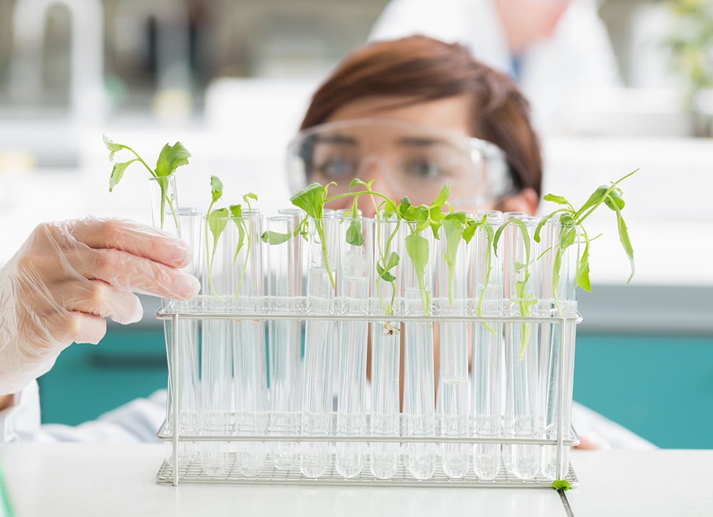 Chauffages et humidificateurs Climat Location au service d’un projet universitaire