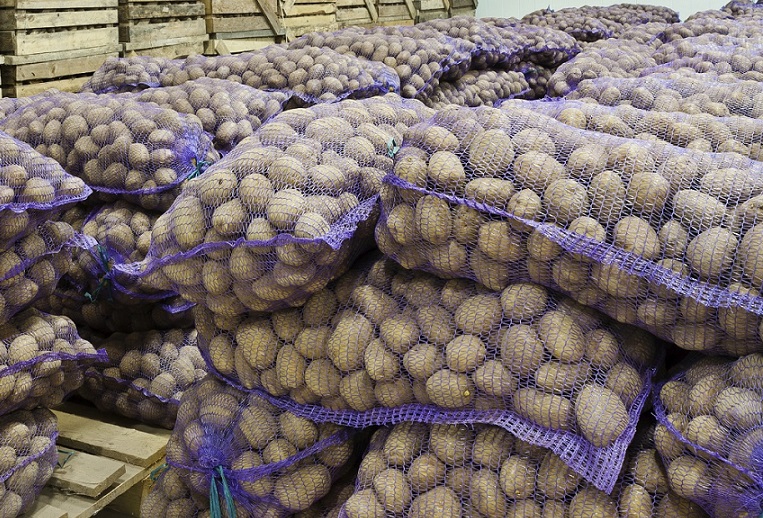 pommes de terre Déshumidificateurs préservent un stock de pommes de terre
